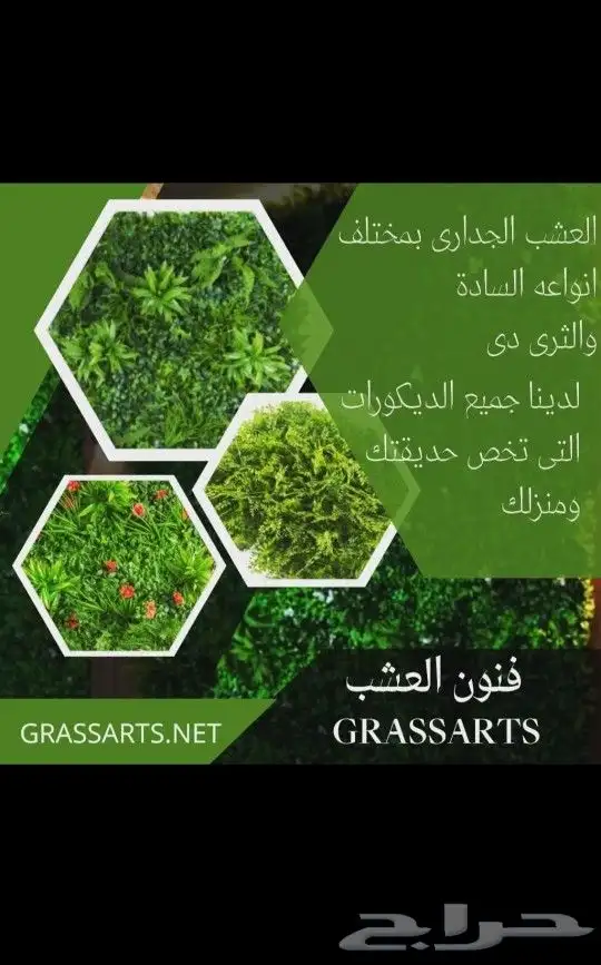 عشب جدارى عشب ارضى 4