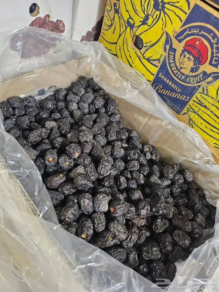 عجوة المدينة المنورة 3