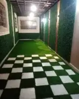 تنسيق حدائق 10