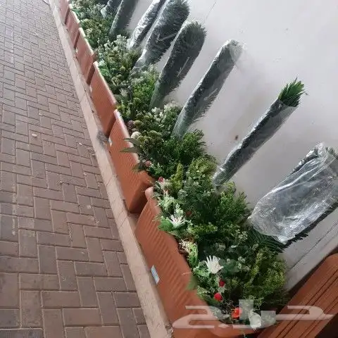 تنسيق حدائق 8