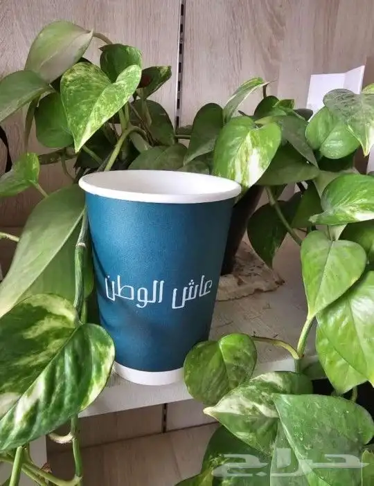 مطابع  طباعه  اكياس  اكواب علب 0