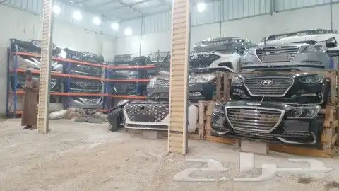 انوار ازيرا كادنزا جنسس سوناتا اصلي وكاله 11