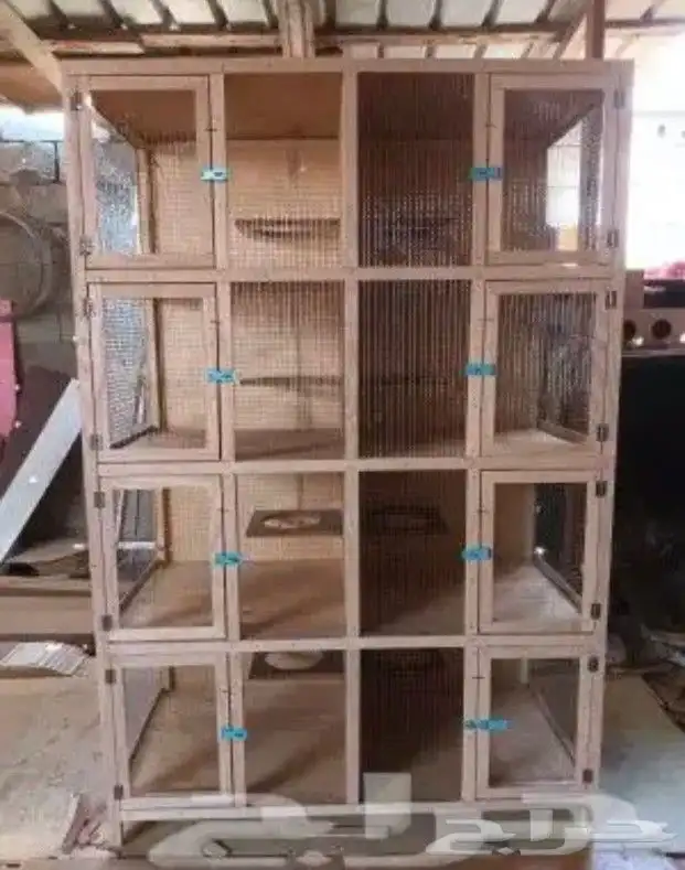 قفص محاكر تفصيل 19