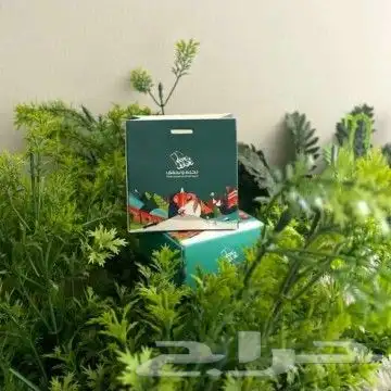 مطبوعات اليوم الوطني 93 ... 6