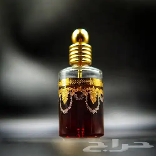 كلمنتان تركان غابات vvip 1