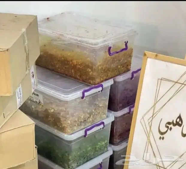 بخور لبان مسقى الذهبي بنكهات متعدده 3
