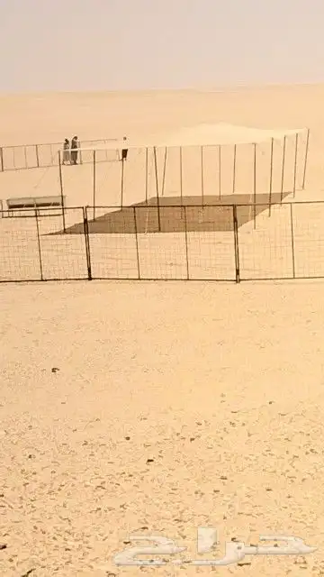 مضلات غنم وابل وسيارات 2