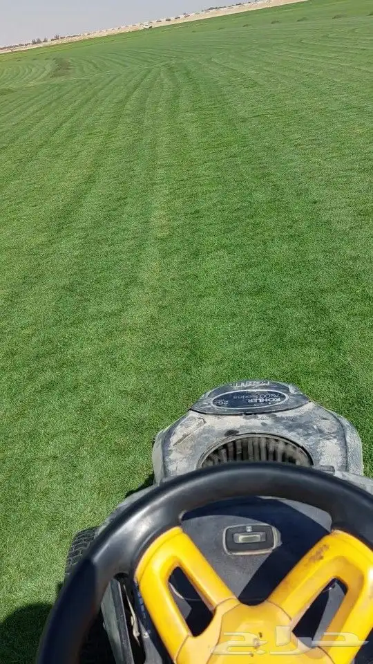 ثيل طبيعي c2000 نجيله طبيعي 1