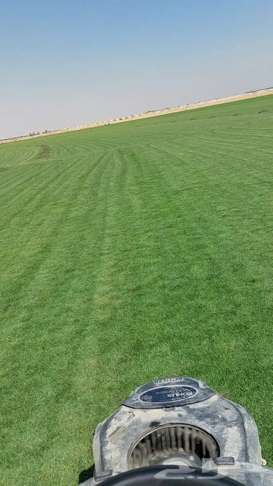 ثيل طبيعي c2000 نجيله طبيعي 3