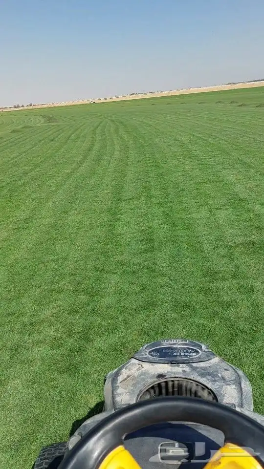 ثيل طبيعي c2000 نجيله طبيعي 0