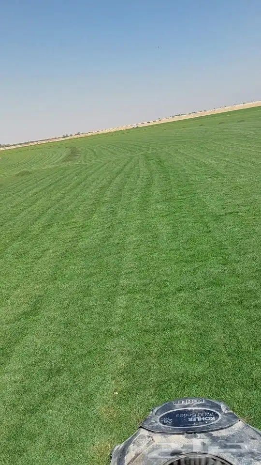 ثيل طبيعي c2000 نجيله طبيعي 4
