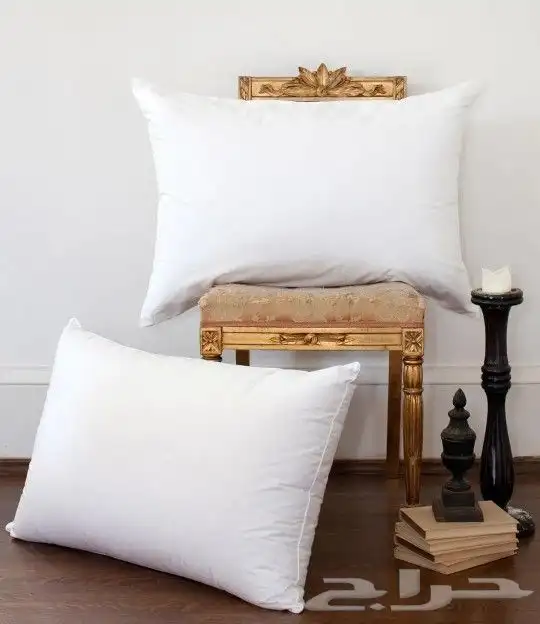 مخدة مديكال بلس الفندقية 2