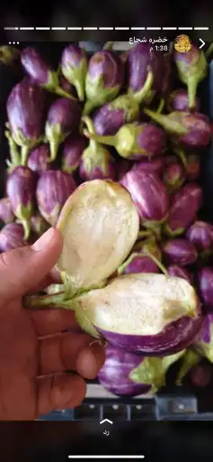 مكدوس شغل بيت 1