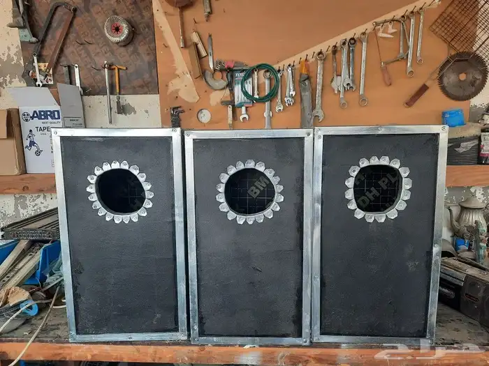 بيضات كاسكو امزوني كوكاتو مكاو ...الخ 10