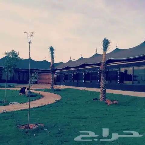 بيوت_شعر_ملكيه_وخيام _وخيام 27