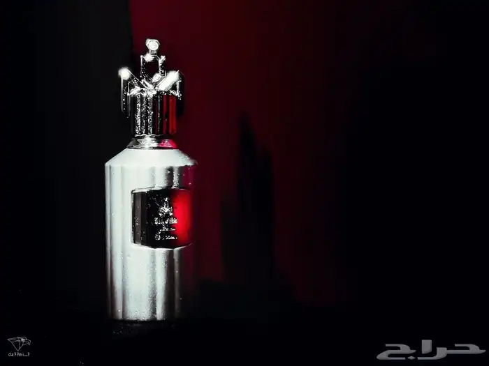 مصور في سكاكا 10