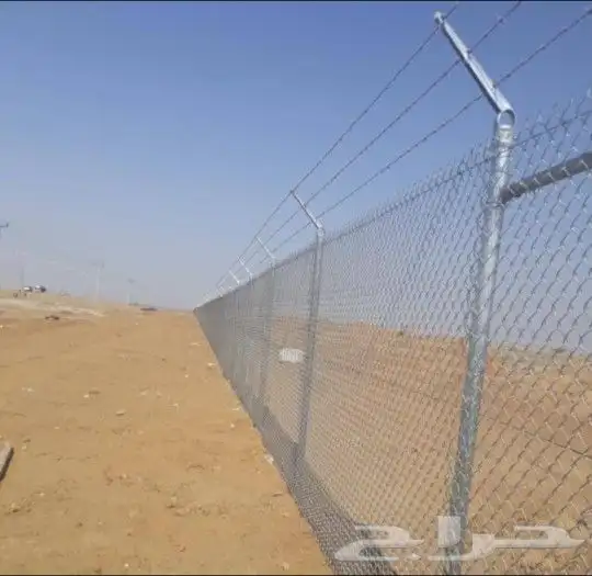 للبيع نخل عربي وواشنطني واشجار زينه ومثمره معاتوصيل والغرس 3