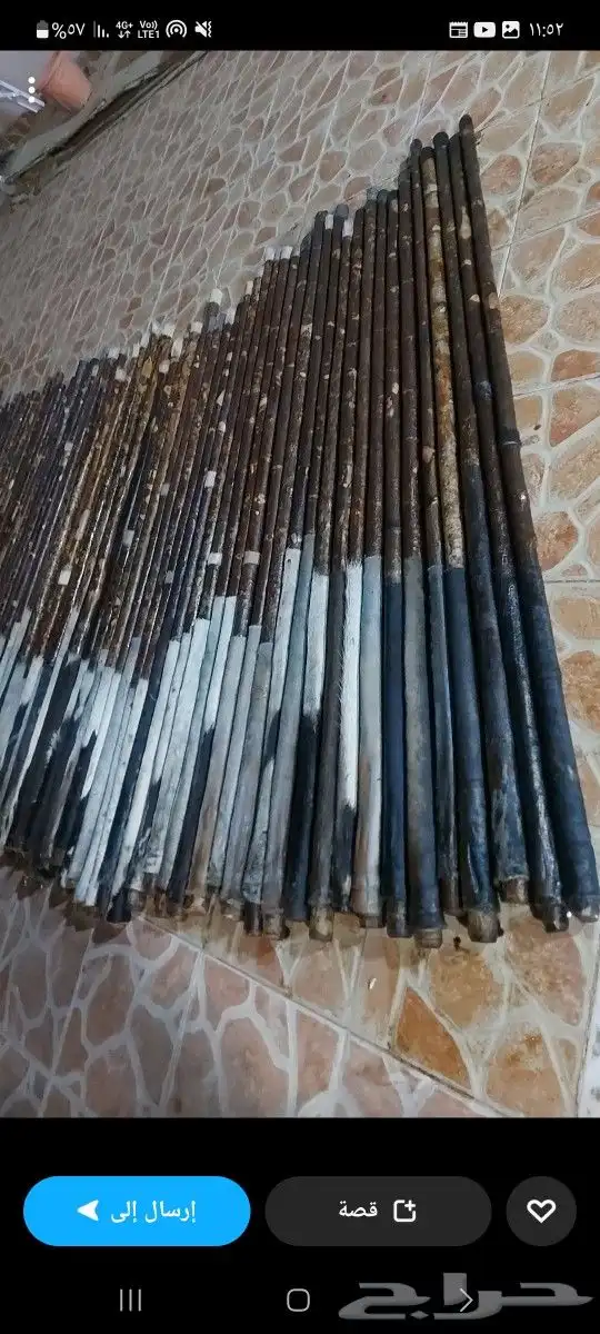 عصي مزمار لوز وخرنوب وقصب وبومب 15