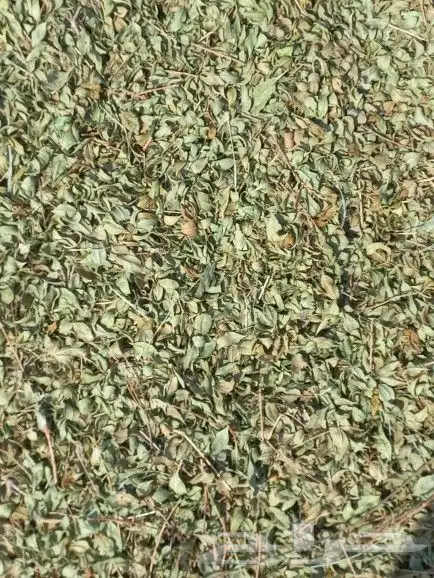 حناءضواحي ينبع ورق او مطحن حسب الطلب 8