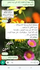 عسل بلدي ومستورد بجميع أنواعه زيت زيتون الجوف 17