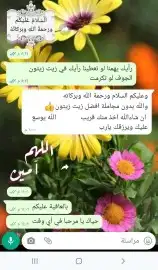 عسل بلدي ومستورد بجميع أنواعه زيت زيتون الجوف 18