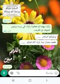عسل بلدي ومستورد بجميع أنواعه زيت زيتون الجوف 15
