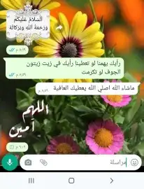 عسل بلدي ومستورد بجميع أنواعه زيت زيتون الجوف 16