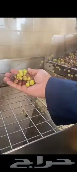 عسل بلدي ومستورد بجميع أنواعه زيت زيتون الجوف 21