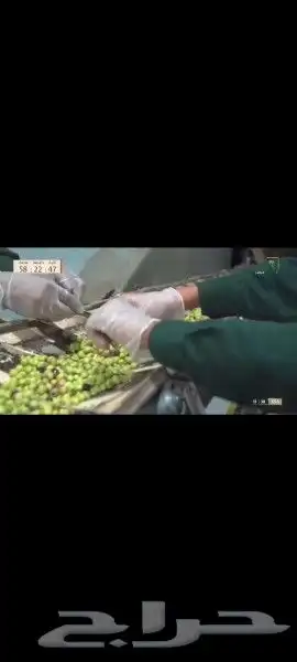 عسل بلدي ومستورد بجميع أنواعه زيت زيتون الجوف 19
