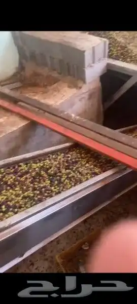 عسل بلدي ومستورد بجميع أنواعه زيت زيتون الجوف 22
