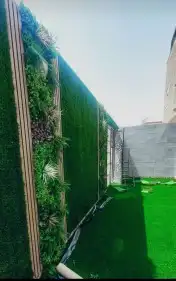 العشب الجداري والعشب الأرضي 9