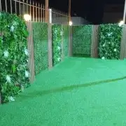العشب الجداري والعشب الأرضي 2