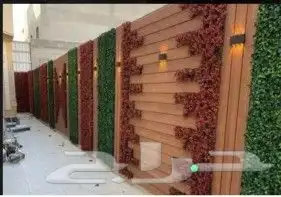 العشب الجداري والعشب الأرضي 3