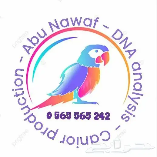 توصيل جميع انواع الطيور والقطط داخل مدينه جدة 1