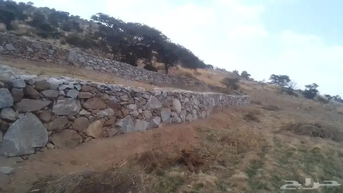 شيول وباكلين لقص الأراضي والبنيان. النماص تنومه بلسمر 3