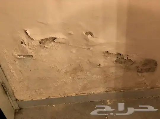 تقرير اضرار الفلل والشقق المباعه عن طريق البنوك 1