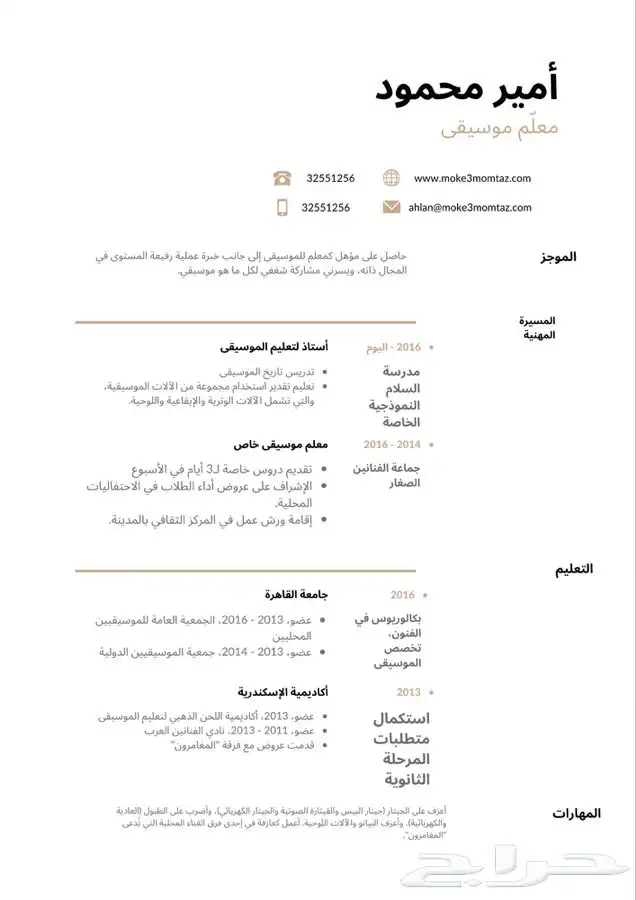 سيرة ذاتية احترافية 4