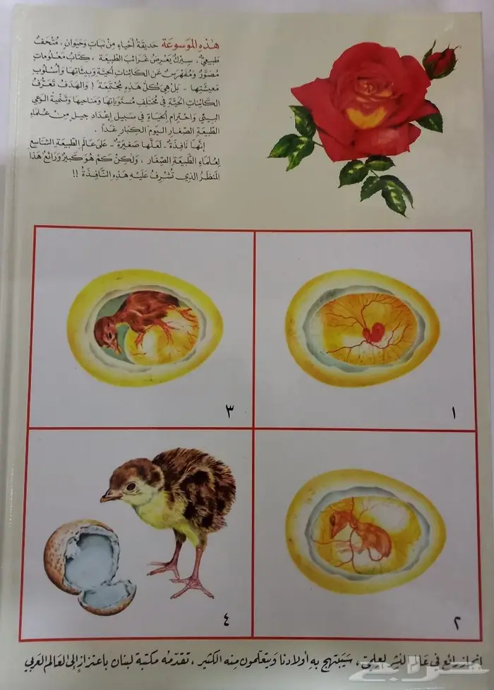 الموسوعة العلمية و الطبيعية 1