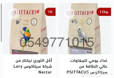 اكل لوري كاسكو روز سيريلاك مكاو طيور الحب 0