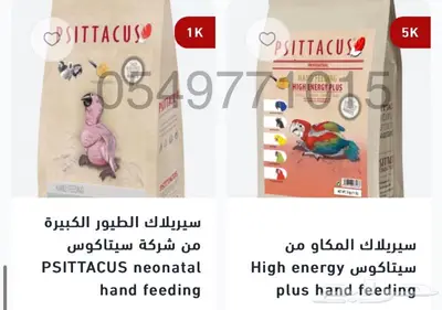 اكل لوري كاسكو روز سيريلاك مكاو طيور الحب 4
