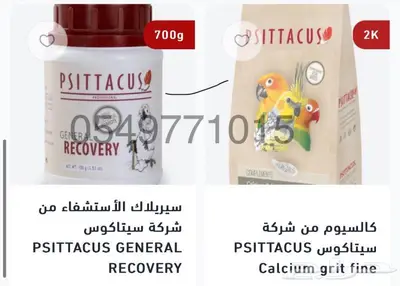 اكل لوري كاسكو روز سيريلاك مكاو طيور الحب 2