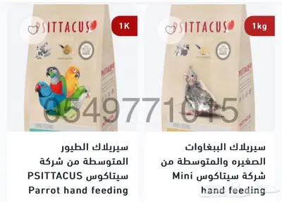 اكل لوري كاسكو روز سيريلاك مكاو طيور الحب 6