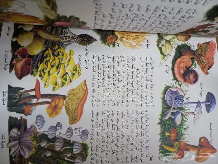الموسوعة العلمية و الطبيعية 2
