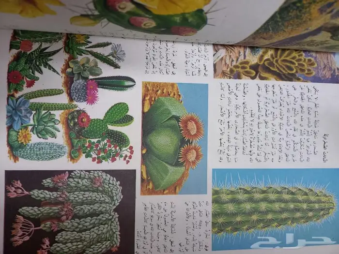 الموسوعة العلمية و الطبيعية 3