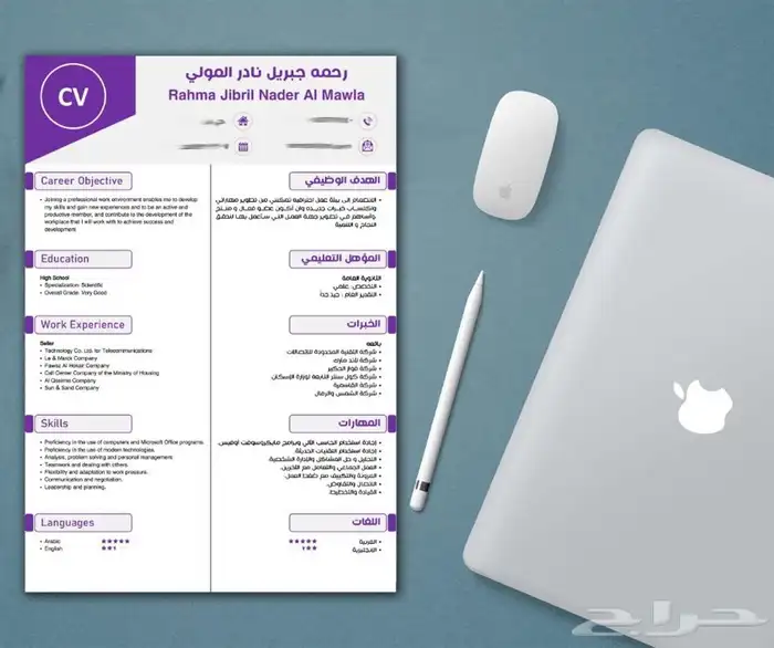 سيرة ذاتية احترافية 0