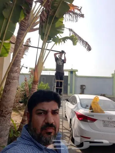 كاميرات انتركم شبكات سماعات جهاز بصمه فايبر 56