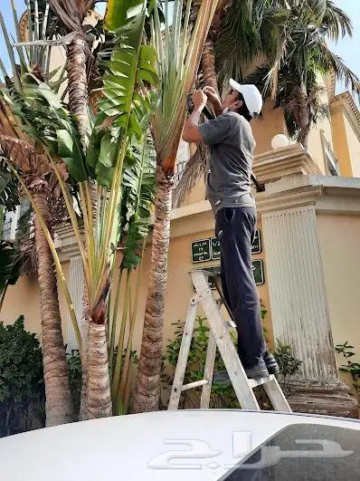 كاميرات انتركم شبكات سماعات جهاز بصمه فايبر 61