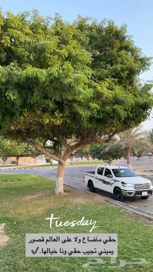 كداد النعيرية توصيل لجميع أنحاء المملكة 0