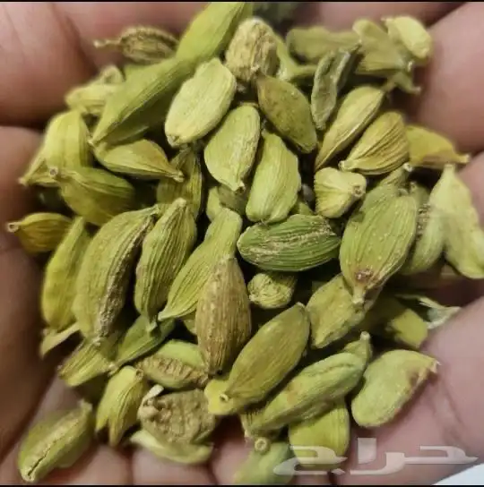 القهوه البيشيه الفاخره والهيل الامريكي 29