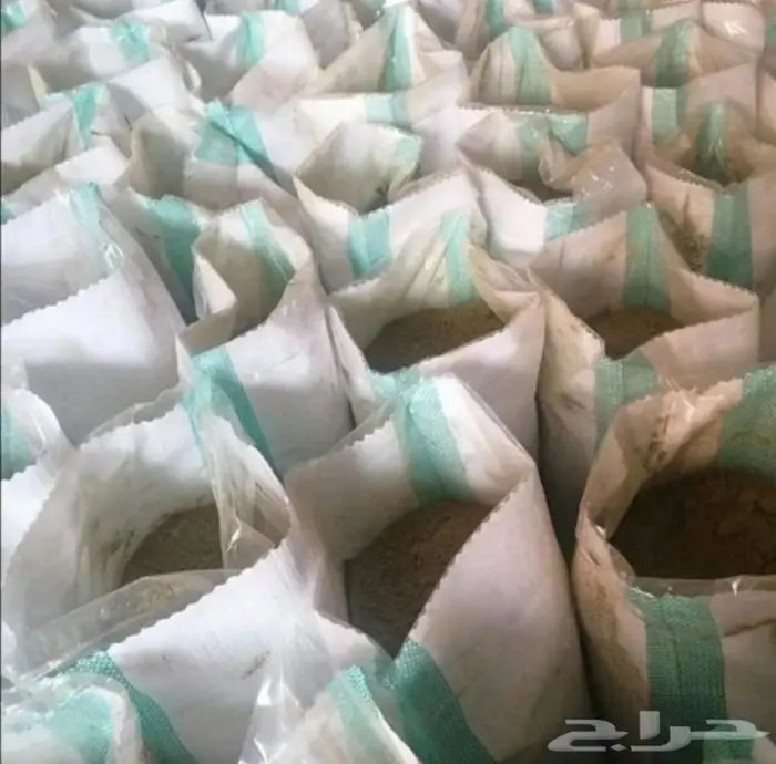 حناء وسدر 4